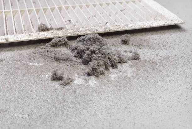 Best Ductwork Cleaning Services  in Gifford, FL