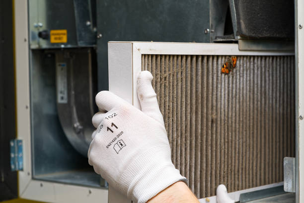 Best Air Duct Cleaning Near Me  in Gifford, FL